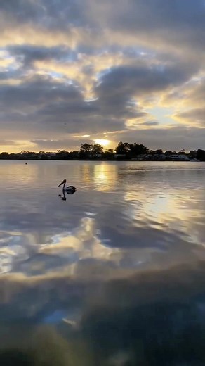 TonyRiverPaparazzi on TikTok