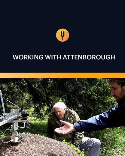 Martin Dohrn shares what makes Sir David Attenborough so special 🌍🐜Even surrounded by swarming ants, his curiosity and wonder for the natural world never faded.A behind-the-scenes look at David Attenborough’s Ant Mountain from A Curious Life: A Tribute to David Attenborough.Celebrate 100 years of curiosity with 25% OFF annual plans at Curiosity Stream using code DA100....#DavidAttenborough #NatureDocumentary #Wildlife #CuriosityStream #Nature