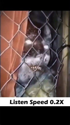 Creepy Alien Voice Record By NASA ‼️ Listen 0.2X !! #shorts