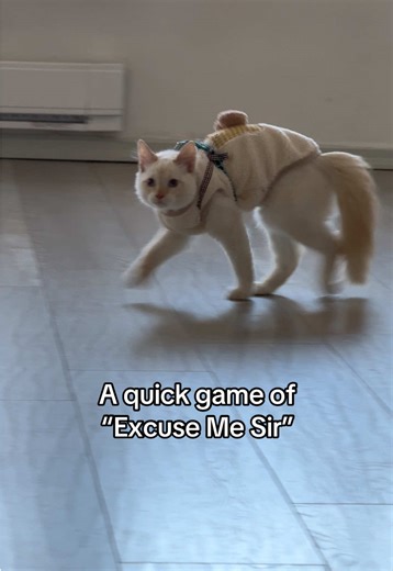 Why does he always do this when I say “excuse me sir” 😂 | excuse me sir game