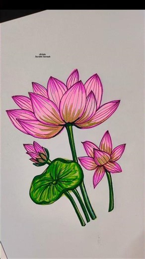 How to Draw Lotus with Brush Pen #art #easyart #lotus #brushpen #drawing #youtubeshorts