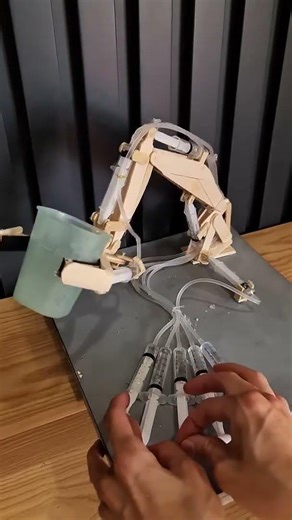 DIY Hydraulic Excavator with Syringes | Amazing Science Project #shorts