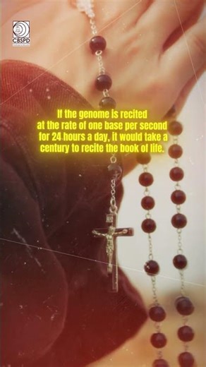 The Book of Life: Mind-Blowing Facts About the Human Genome! 🧬