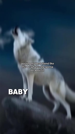 Fun Moments with My Best Friend