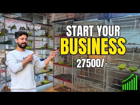 How to Start a Bird Business (Low Investment) || #minizoo #petsvlog #birdsbusiness