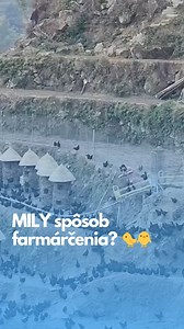 6.2K reactions · 104 comments | Pozrite sa na to  #chicken #nature #farming #farm #ecofriendly #climateaction #climateaction #sustainableliving #renewableenergy #greenenergy | FVE Systems | Facebook