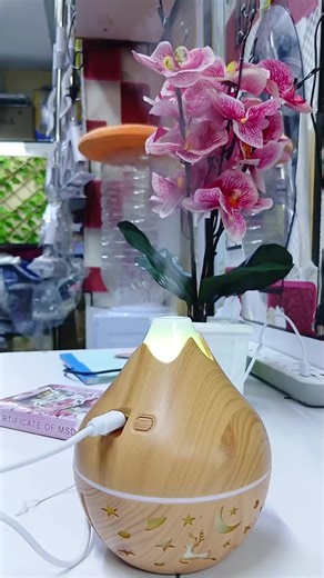 Transform Your Space with a Snow Humidifier