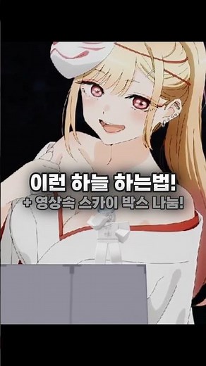스카이박스 적용 하는 방법
