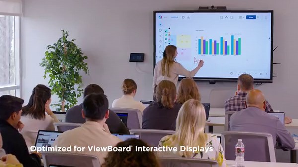 ViewSonic TeamOne Software