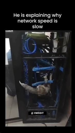 Explaining Why the Network Speed is Slow | VMSOIT. #ITHumor #NetworkAdmin #TechMeme