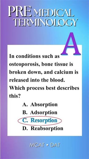 Difference Between Absorption, Adsorption, Resorption, Reabsorption