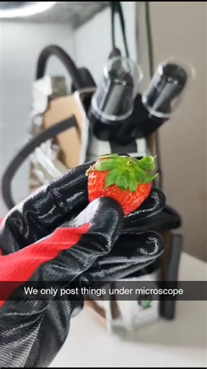 Things Under Microscope | Unlock a hidden world 🔬—discover the fascinating beauty of everyday things under the microscope! #MicroscopeMagic #HiddenWorlds... | Instagram