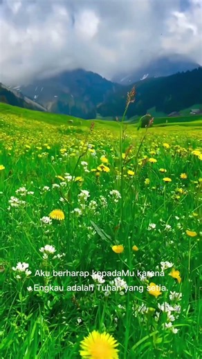 Morning Prayer: In God, There is Hope for Your Future #ShortPrayer #ChristianDevotion #shorts