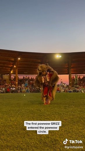 This powwow had a special place in my heart. This was the first powwow Grizz entered into the circle for the people. #grizzlybeardancer #lgrizzlypaws #beardancer #fyp #indigenoustiktok