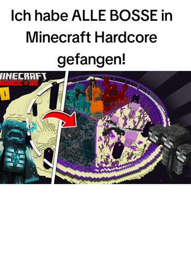 Ich habe ALLE BOSSE in Minecraft Hardcore gefangen!