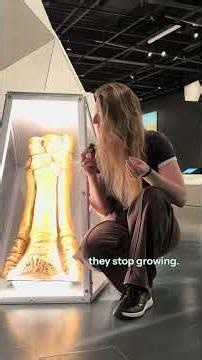 Life-size model of the biggest land mammal to ever live