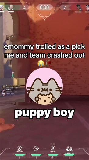 They hated me and my edog 😞 #valorantfyp #valorant | Valorant