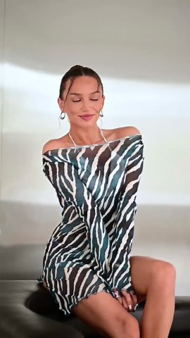 Zebra Print Sheer Mini Tunic Dress, Lightweight Beach Cover-up - Etsy