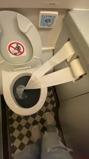 Who’s ever done this on a plane before😂 #foryoupage #foryou #fyp #plane #toilet #flush #toiletpaper #BornToGlow #DealDropDance #truthordare #viral