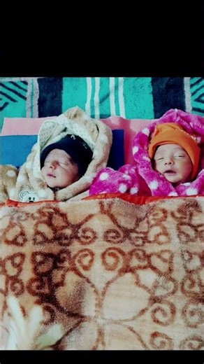 Twin baby boys #twinflame #twinings #twinmoments #twinity