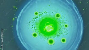 Exploring vibrant green and blue liquid patterns in a mesmerizing scientific experiment