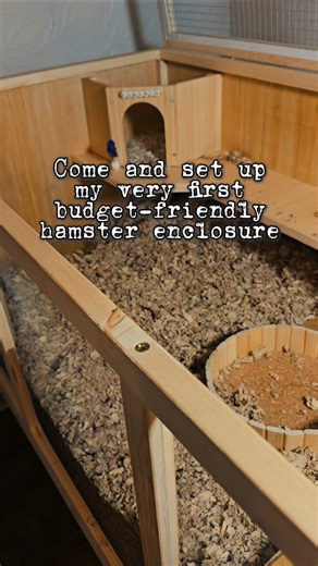 My first budget hamster enclosure | Heart & Effort ❤️🐹
