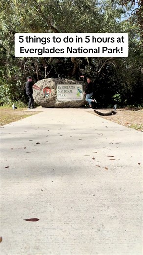Save this for your Florida bucket list 💚⤵️ Main Entrance ➡️ Flamingo Guide: If you think the Everglades is just “flat and swampy”… keep driving. This route is pure Florida magic ✨ 🚗 Start Here: Ernest F. Coe Visitor Center 📍 Main Park Entrance (Homestead) Your first stop for: \t•\tMaps trail updates \t•\tWildlife tips \t•\tAirboat & ranger program info 🛣️ The Drive South (38 miles of slow magic) - From Royal Palm to Flamingo, the road itself is the experience. Don’t miss: 1. 🥾The Anhinga Tr