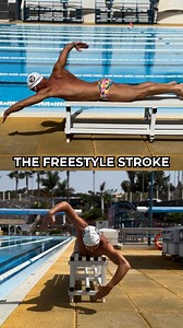 310K views · 7.1K reactions | The freestyle stroke is the easiest one...