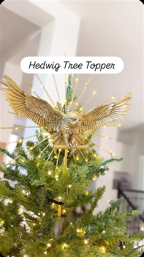 67K views · 4.1K reactions | The brand new Hedwig tree topper from Pottery Barn Teen. I just realized isn’t he a she? The link to this post on my LTK in my bio. | Clevergirlpotter | Facebook