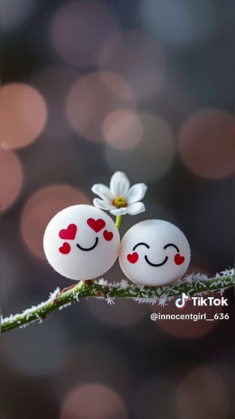 #❣️❣️❣️❣️❣️❣️❣️❣️❣️❣️❣️❣️❣️❣️❣️❣️ #✨✨✨✨✨✨✨✨✨✨✨✨ #😍😍😍😍😍😍😍😍😍😍🥰🥰🥰🥰🥰🥰🥰 #loveforever💞😘 #😍😍😍😍😍😍😍😍😍😍🥰🥰🥰🥰🥰🥰🥰