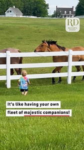 4K views · 60 reactions | Horses will always heed the call of their little best buddies! | Reader's Digest | Facebook
