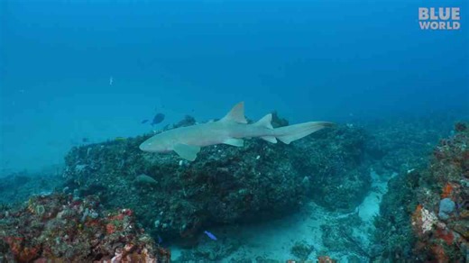 We found one wreck - then something else appeared in the distance