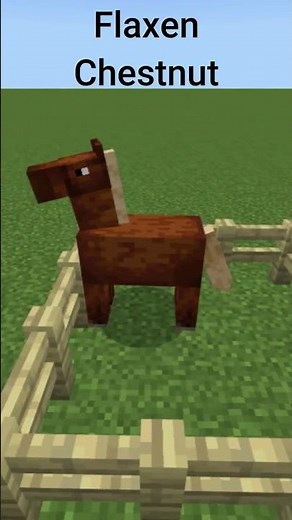 How to Identify Minecraft Horses!