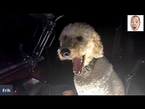 Nighttime storm damage tour: Clearing trees & unboxing fun signs live!