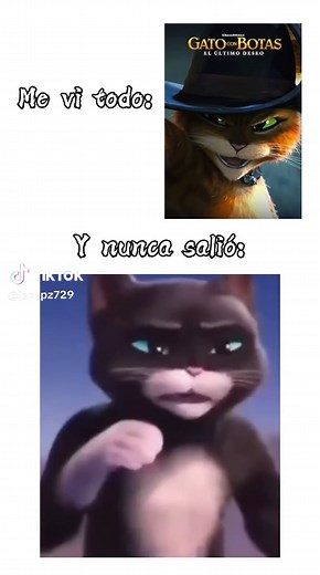 Gato con Botas: Memes y Momentos Divertidos