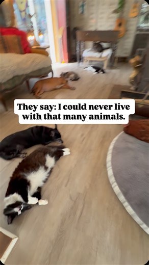 76K views · 14K reactions | They say I could never live with that...