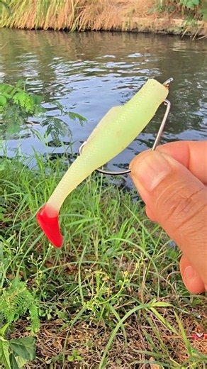 ✅️✅️Maximize Your Catch with the Right Lure Setup👍👍 #fishing #bassfishing #angler