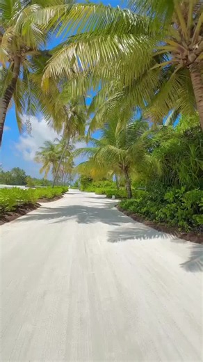 🌴✨ Malediven – das Paradies im Indischen Ozean! 🇲🇻💙 Kristallklares Wasser, weiße Sandstrände und unvergessliche Sonnenuntergänge – die Malediven sind ein Traumziel für alle, die Entspannung und Natur lieben. 🏝️🐠 📍 Speichere dieses Reiseziel für deinen nächsten Urlaub und teile es mit jemandem, der mit dir ins Paradies reisen würde! ✈️ #dreamholiday1 #Malediven #Maldives #Paradies #Traumurlaub