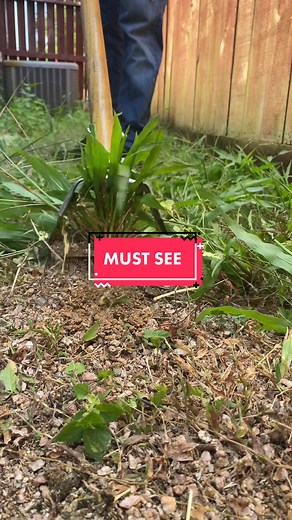 Best Hand Tools for Weeds: Scuffle De Weeder