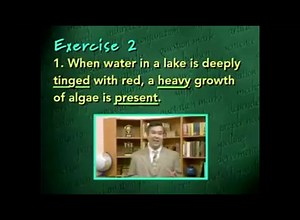 Movie segments grammar. Lesson 2 – Adjectives, Articles, and Adverbs Exercise 2 Directions: Read each of the following sentences. Then underline each adjective once, underline each article twice, and circle each adverb. 1. When water in a lake is deeply tinged with red, a heavy growth of algae is present. 2. If Peter has enough free time next summer, he will visit southern Italy on his vacation. 3. Auto racing is generally considered one of the most dangerous sports in the world. 4. “Silver Blaz