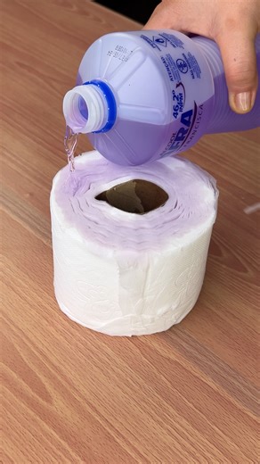 Just put alcohol on the toilet paper and you'll thank me!!! 😍🙏 | Home Tips
