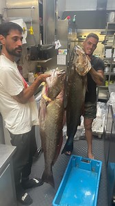 2.5K views · 208 reactions | Festas do Mar rima com Peixe Cascais é aqui reserva@restaurantepescador.com Telf: 21 483 20 54 #cascaiseaqui #theforkpt #cascaislovers #cascais #cascaisrestaurant #cascaisportugal #cascaislifestyle #cascaisfood #mariscofresco #marisco #peixefresco @ferdy_sea @visit_cascais | Restaurante O Pescador | Facebook