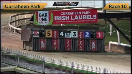 8.6K views · 89 reactions | 磊 Silverhill Freya rockets to the opening bend and battles fiercely with kennelmate Faypoint Ranger before digging deep to hold off the late challengers and take Heat 10 of the BarOne Racing Irish Greyhound Laurels opening round. | Riverside Kennels | Facebook