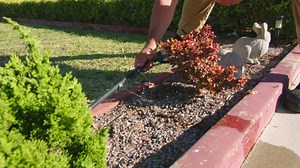 2.9K views · 889 reactions | Sign up today to save water with our Smart Landscape Tune-Up Program, which includes an irrigation system evaluation and water-saving device installation – all at no cost! | California Water Service | Facebook