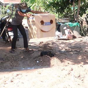 38K views · 821 reactions | BIG Smile BOX P.ranks Sleeping Dog - Funny Dog Video | Adalyn Pro | Facebook