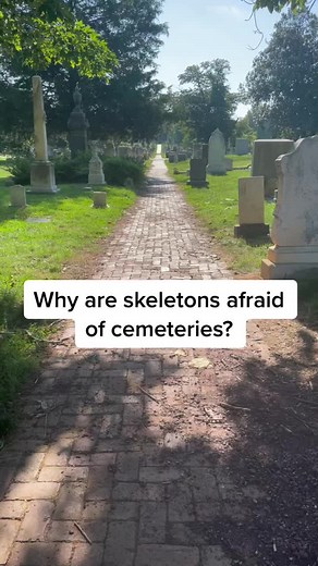 Spooky Cemetery Puns and Dad Jokes