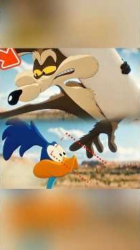 Why did Wile E. Coyote look so shocked after touching the Road Runner? #movie#fyp #cartoon
