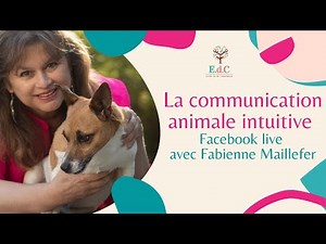 La communication animale intuitive (CAI) selon Fabienne Maillefer