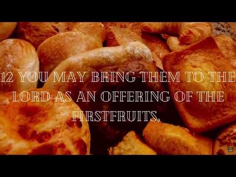 The Book of Leviticus - Visual Audio Bible HD 4K