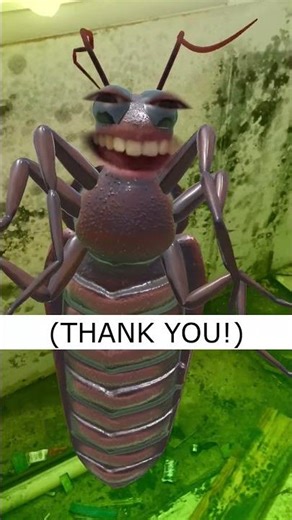 RIP Little Cockroach 😢